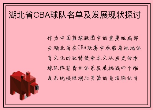 湖北省CBA球队名单及发展现状探讨