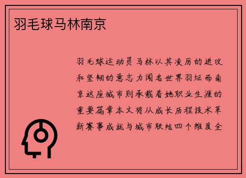 羽毛球马林南京